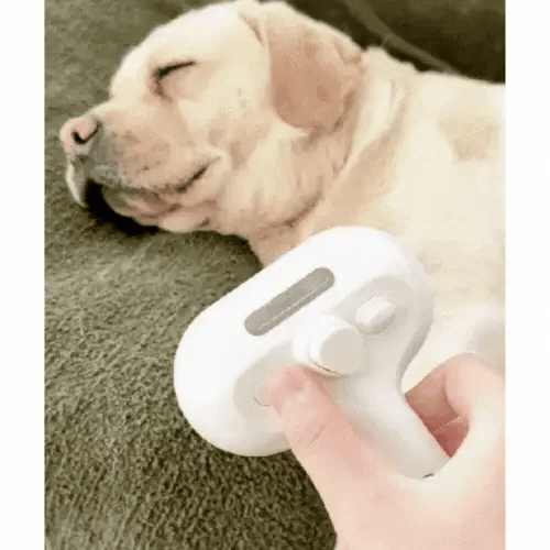 Nordic Pawz - Steamer Brush