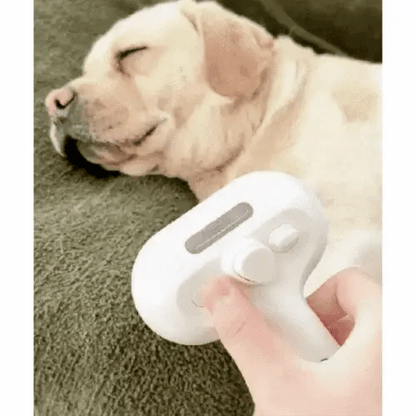 Nordic Pawz - Steamer Brush